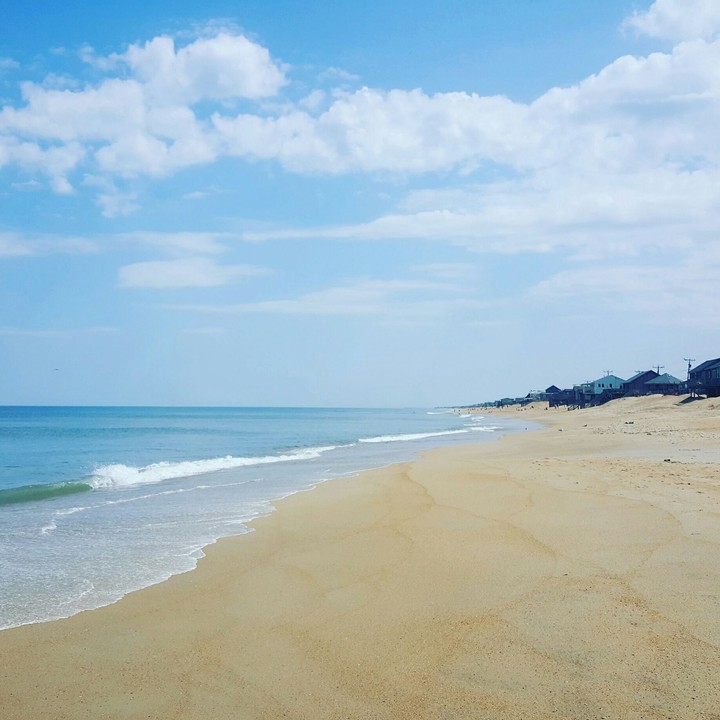 Beach Life
