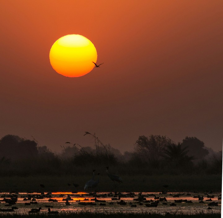Sunset beauty
