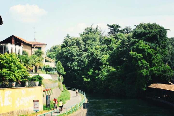 #natura #acqua #piante