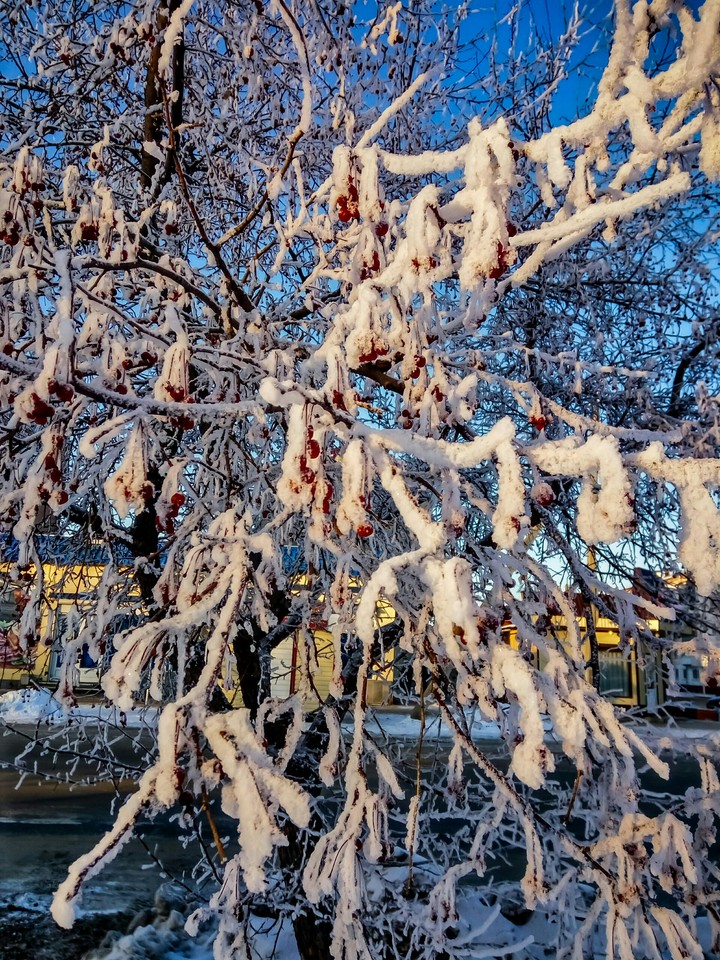 Зимнее кружево