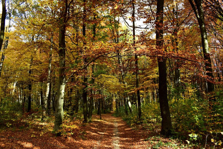 fall