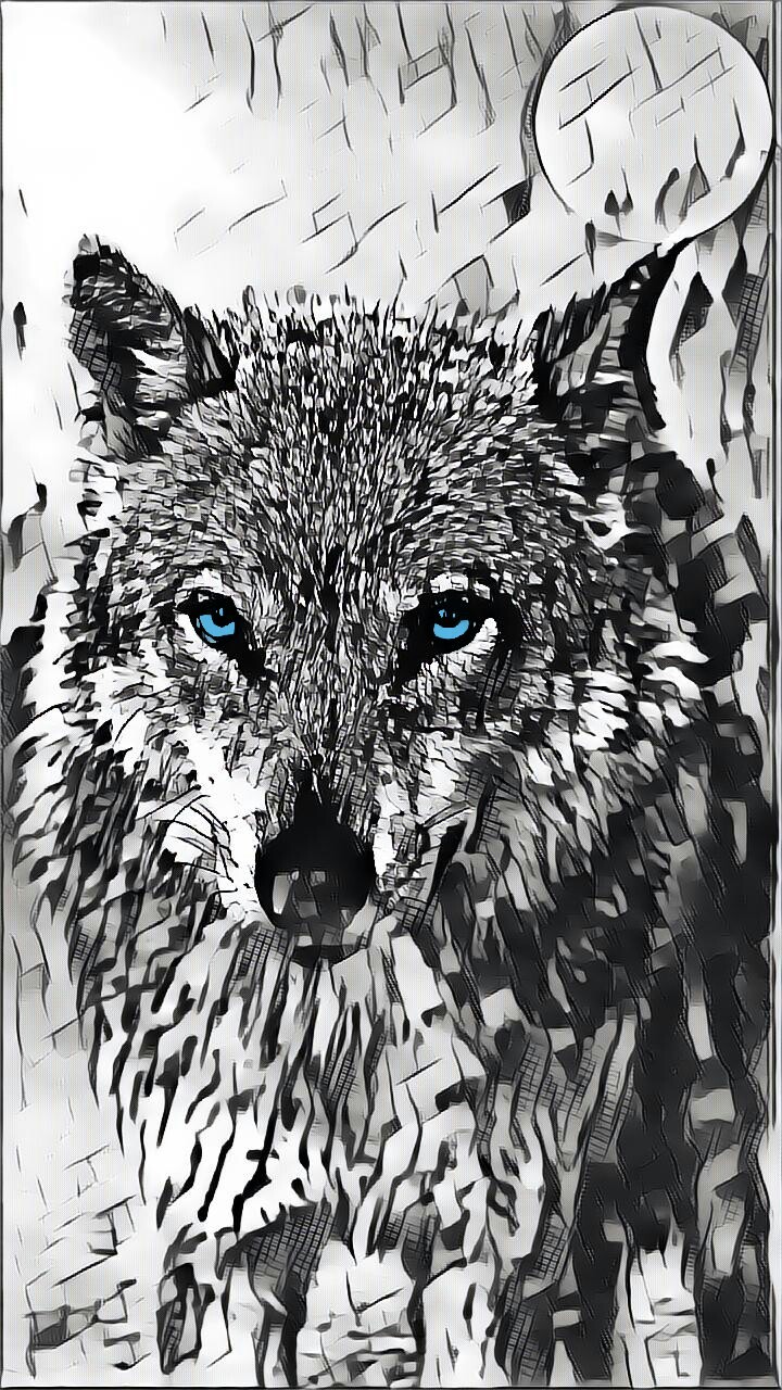 Blue Eyes WOLF