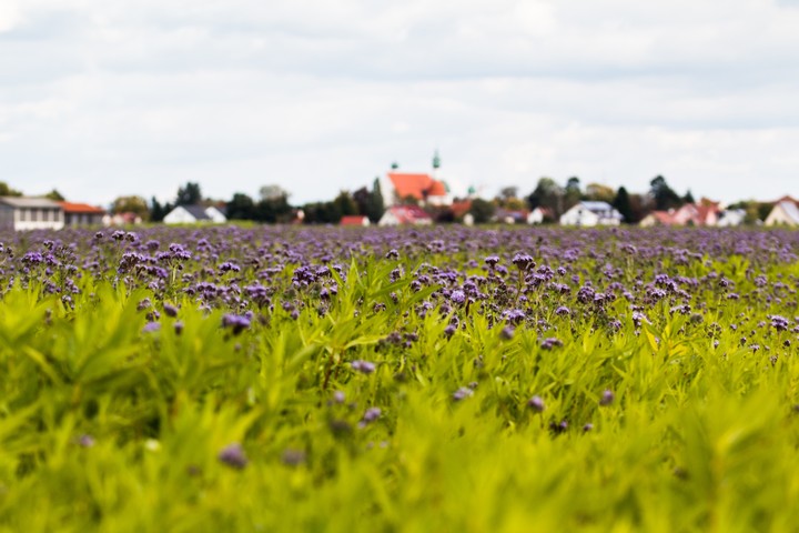 Landschaft
