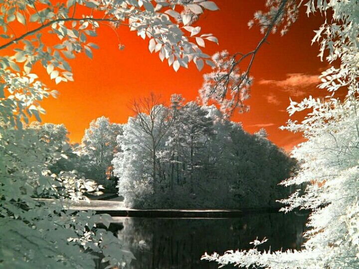 nature