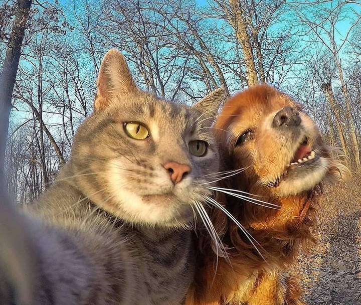#selafie6