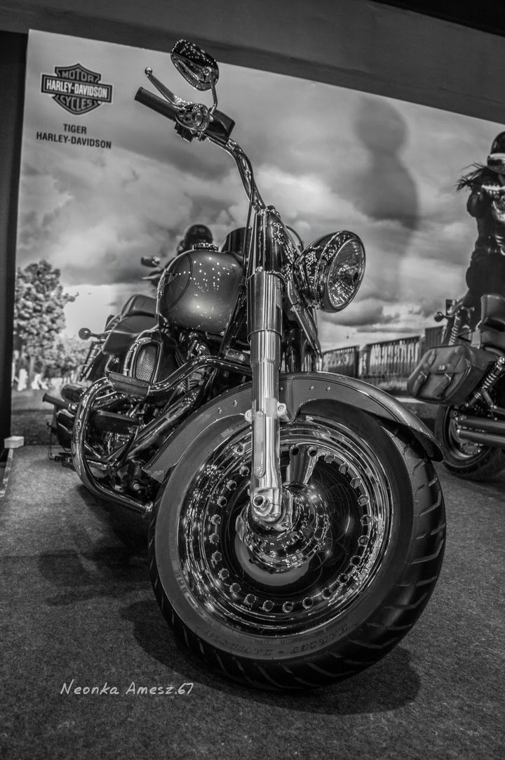 Harley