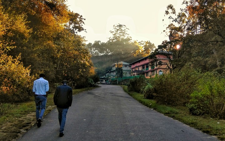 Blissful Walk.