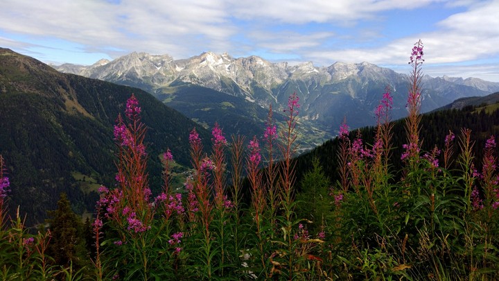 right in front of the mountains