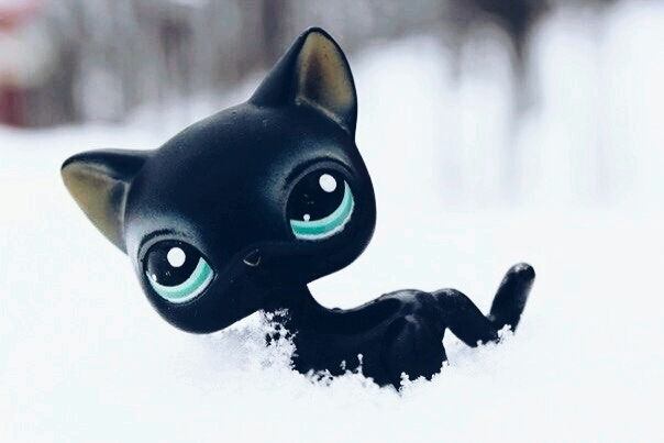 BlAcK lPs