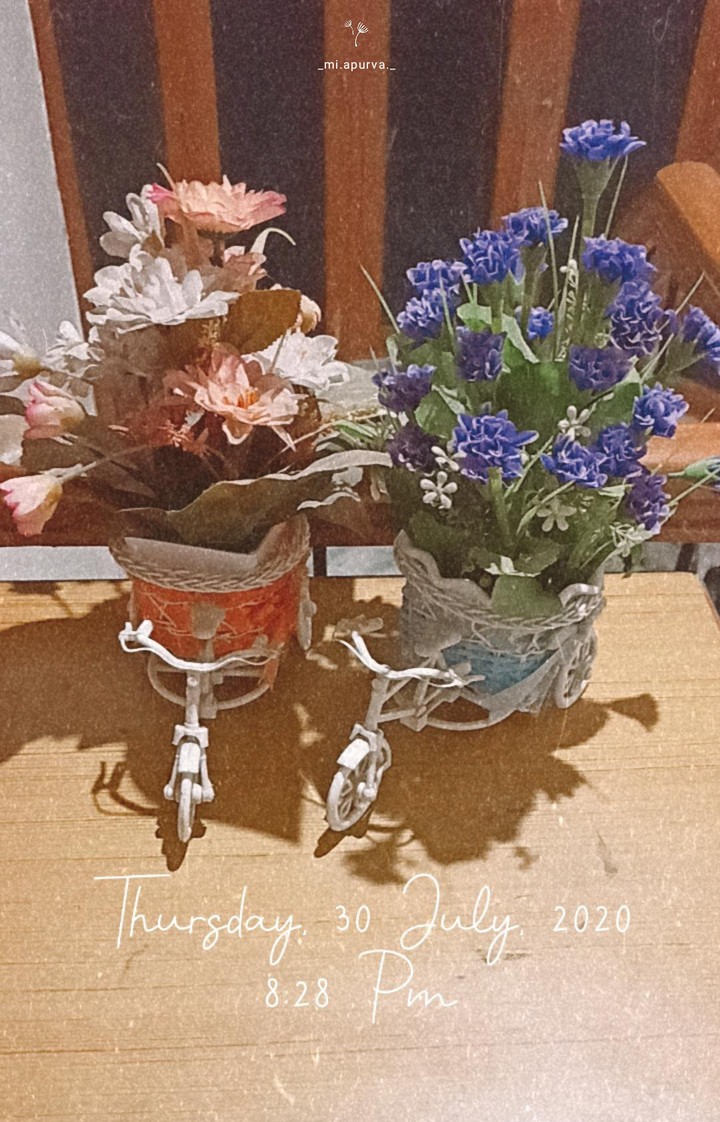 Cycles of flowers