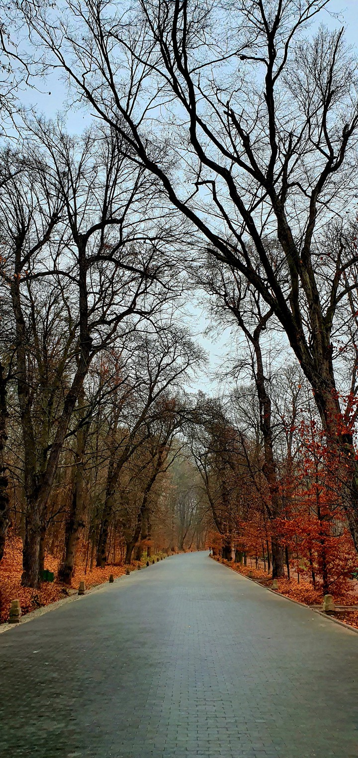 Sofia park, Uman, Ukraine - in the Autumn fall of November