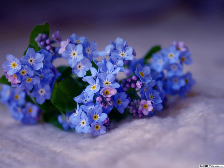 Don't forget me.. ?