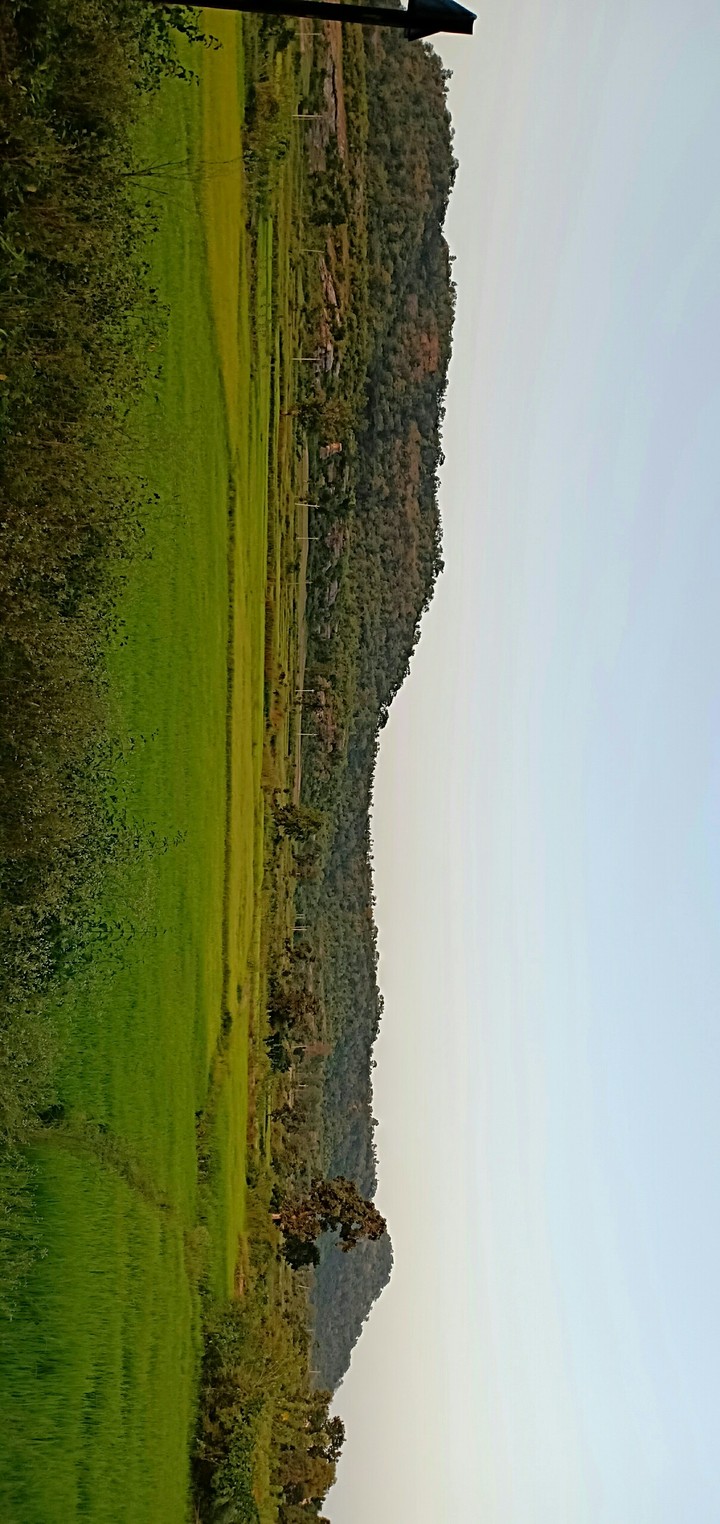 nature