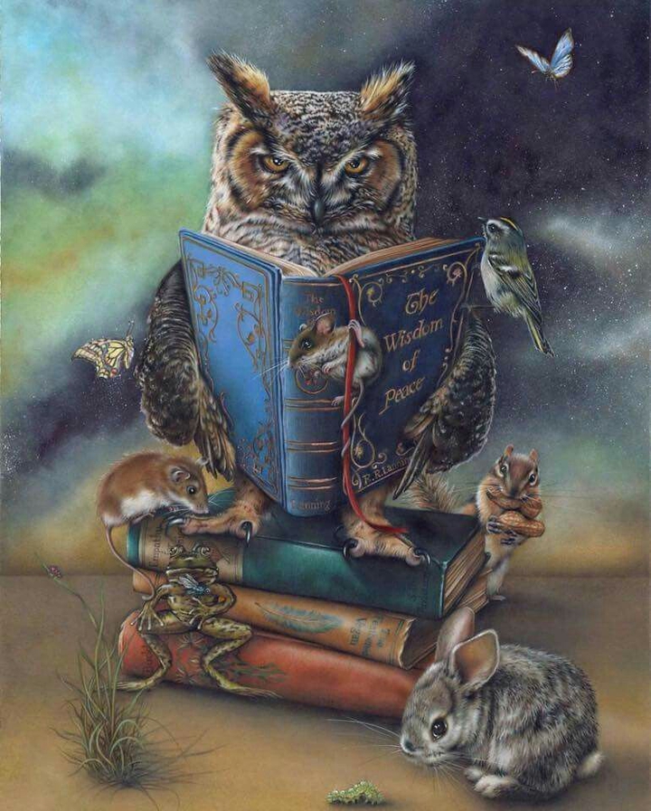 ~The Wise Owl
