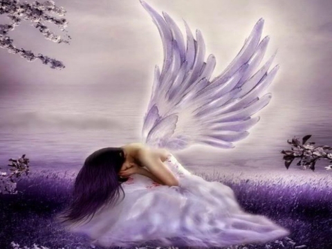 lavender, mythology wallpapers