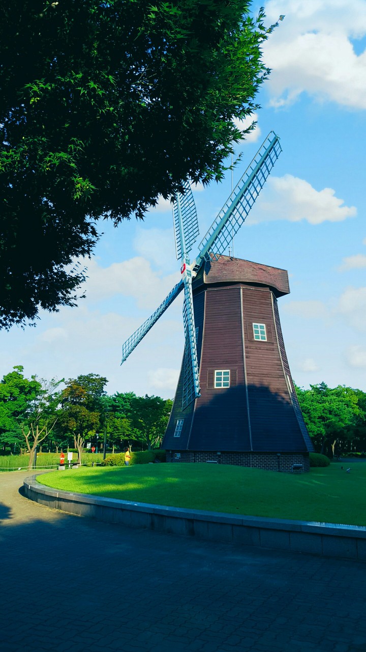 the memory of windmill