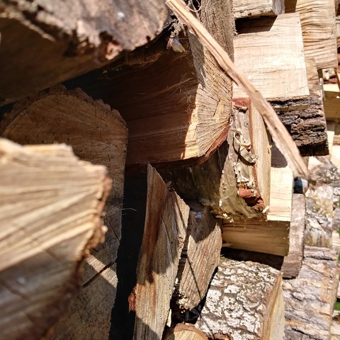 The Wood Stack