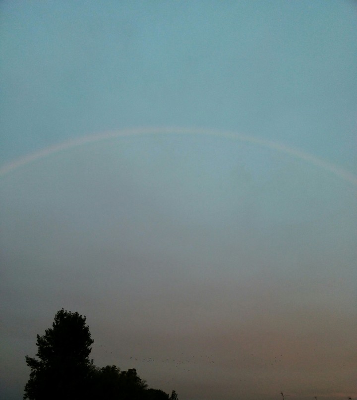 Rainbow