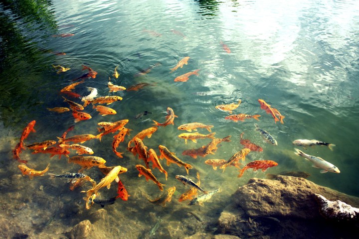 .