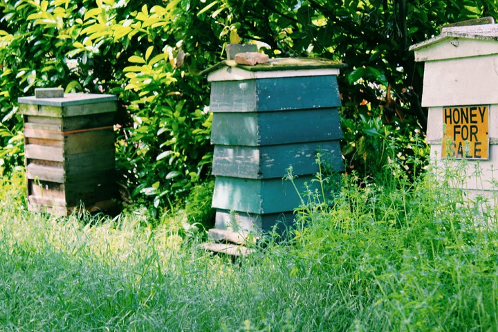 Hives!!!