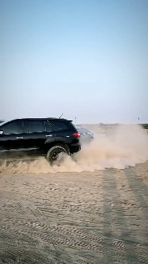 car Lover's