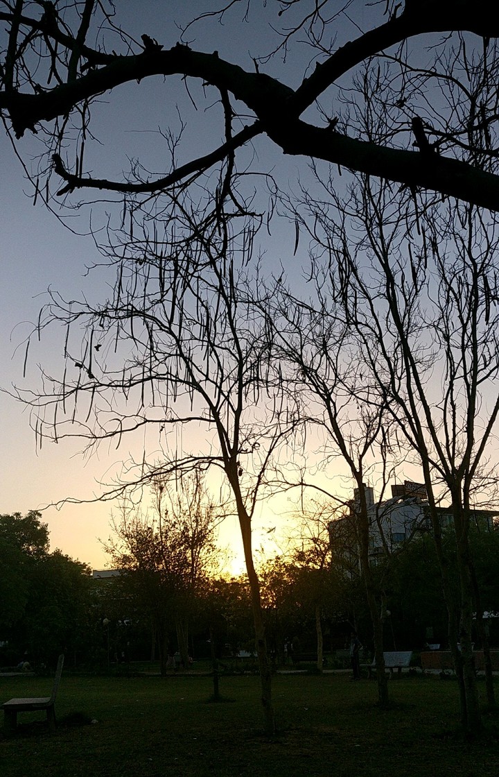 sunset