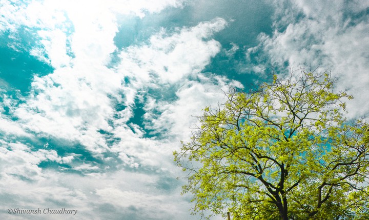 nature