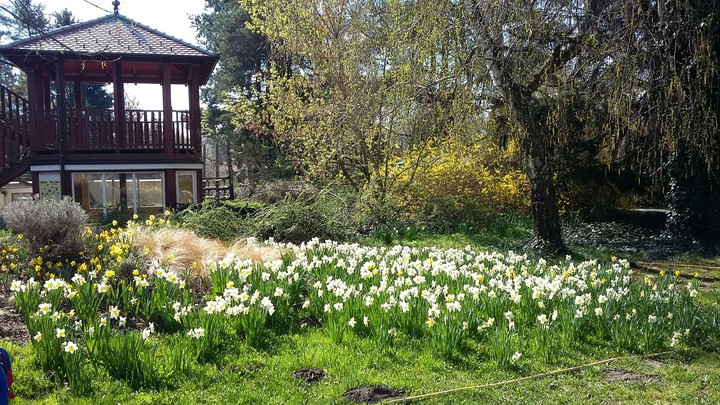spring