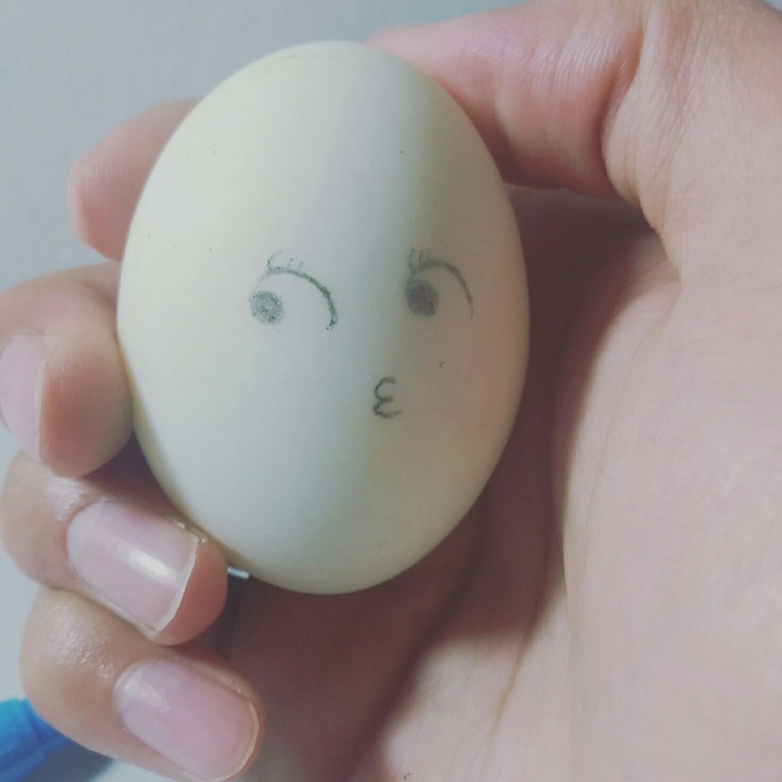 egg