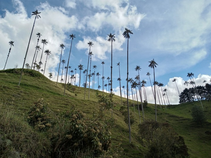 Salento Colombia