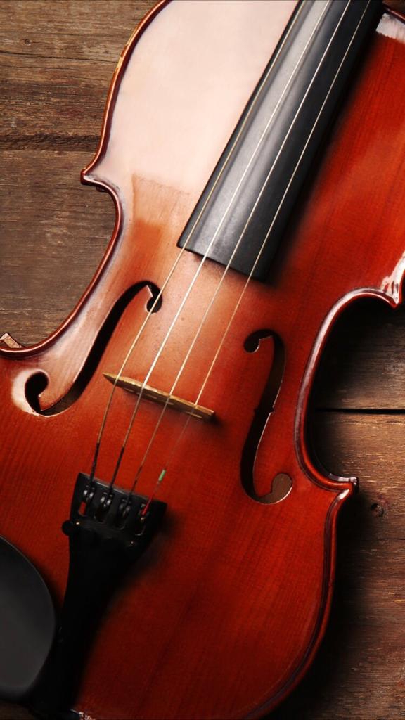 Violin