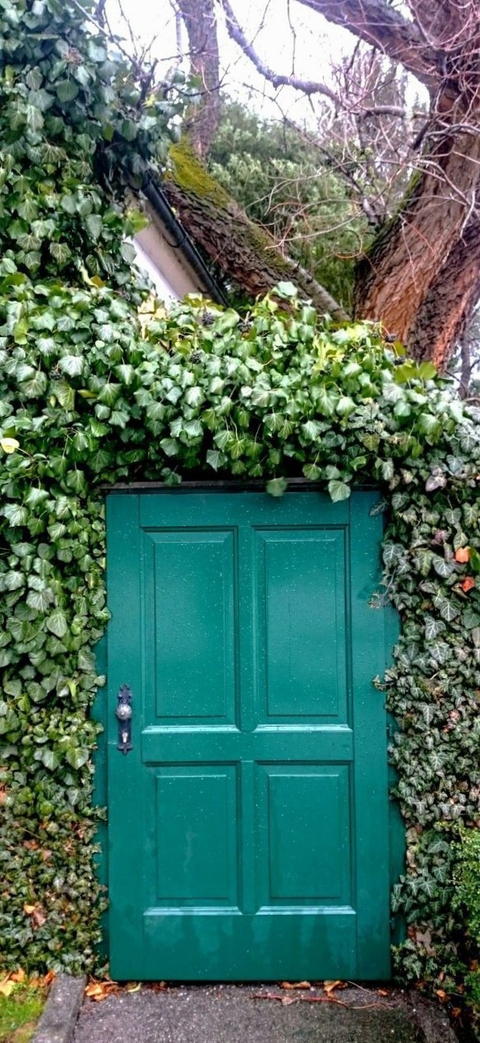austria, shrub háttérképek