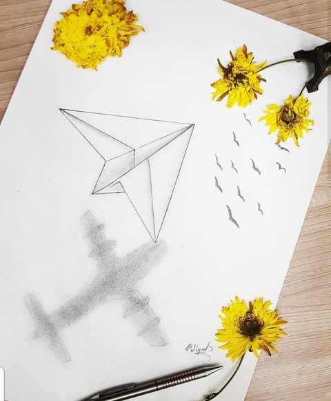 airplane