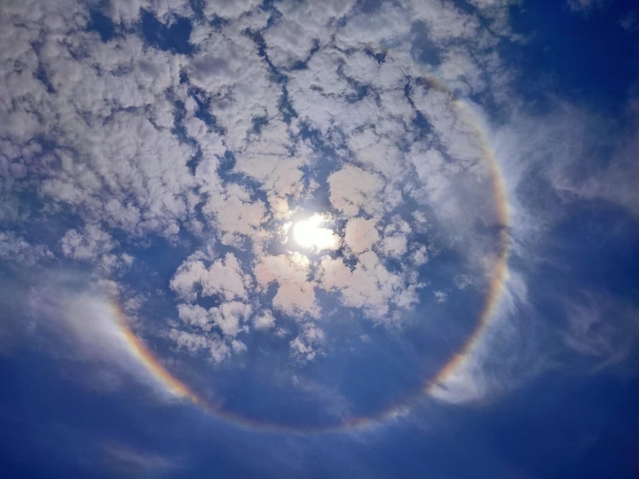 Halo