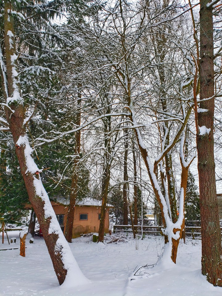 snowy hut