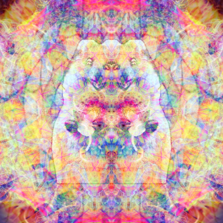fantasy F