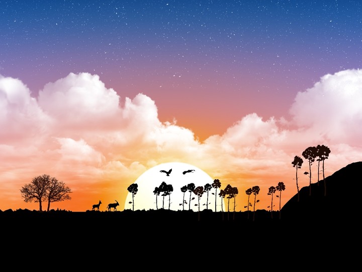 couché de soleil