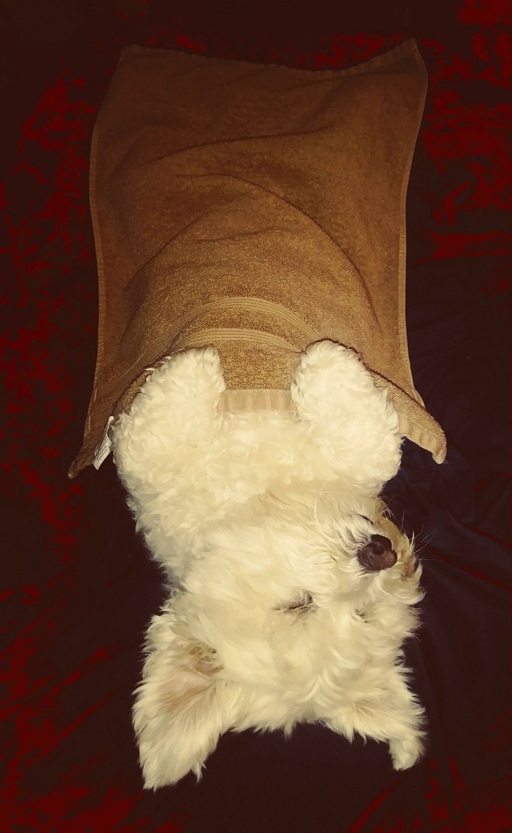 Sleeping Beauty