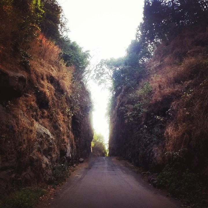 Where there is a will there is a way