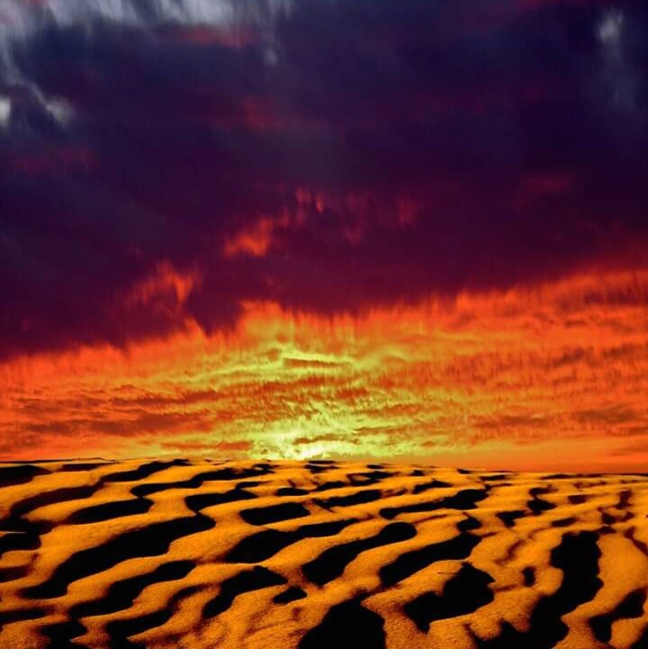 coucher de soleil au Sahara⭐⭐⭐
