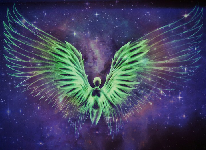 freedom