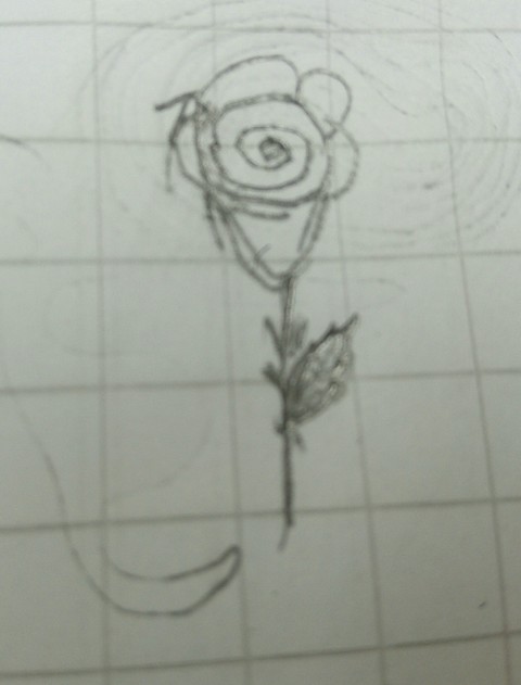 rose