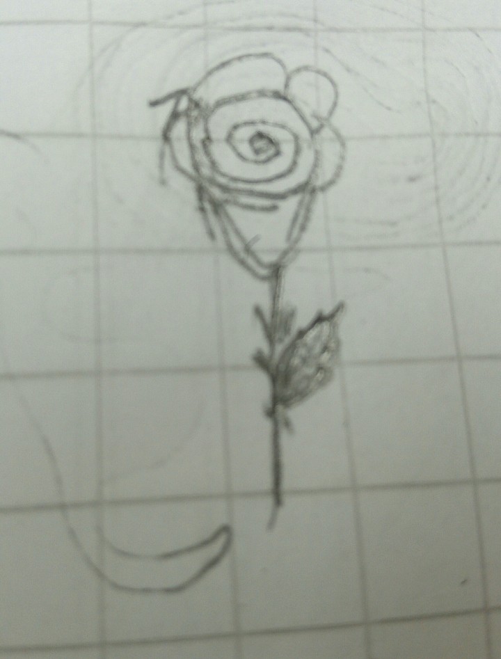 rose