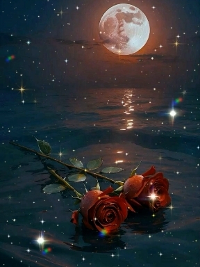 Rose.
