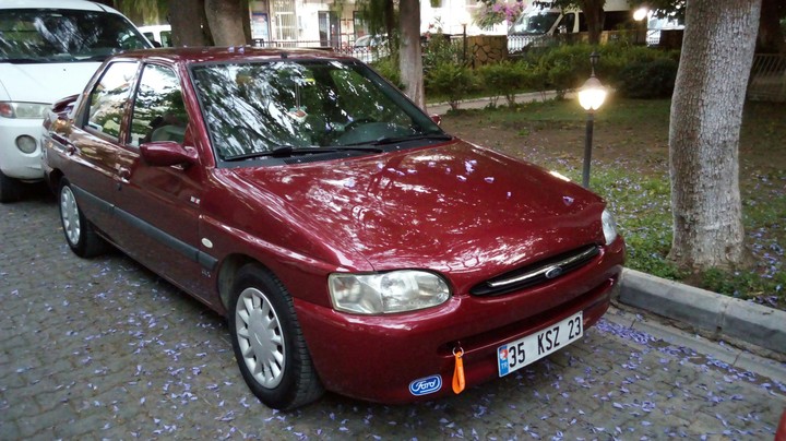escort