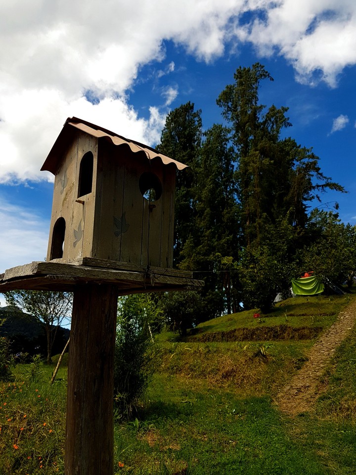 bird house