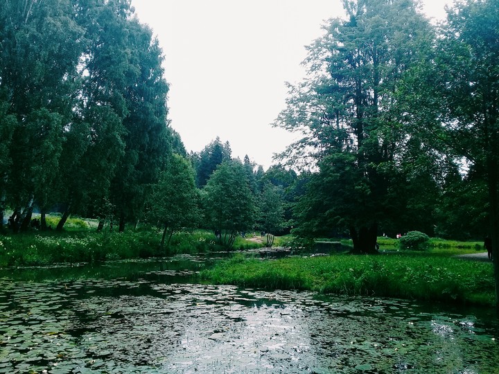 Shuvalovskii park