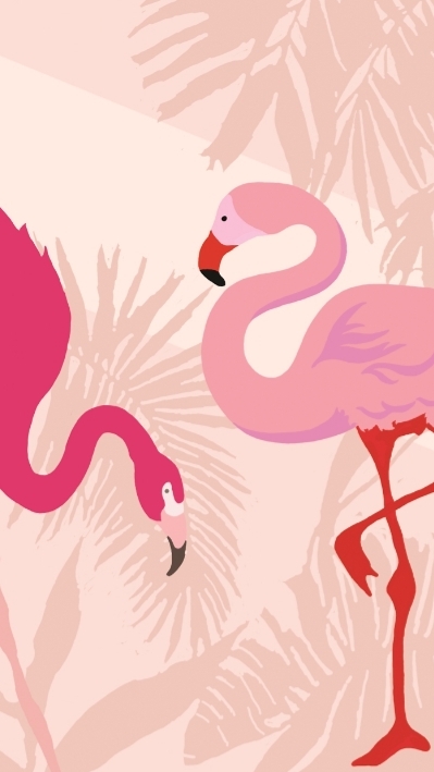 Flamingos❤