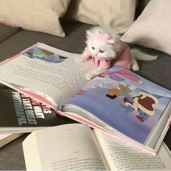 .
