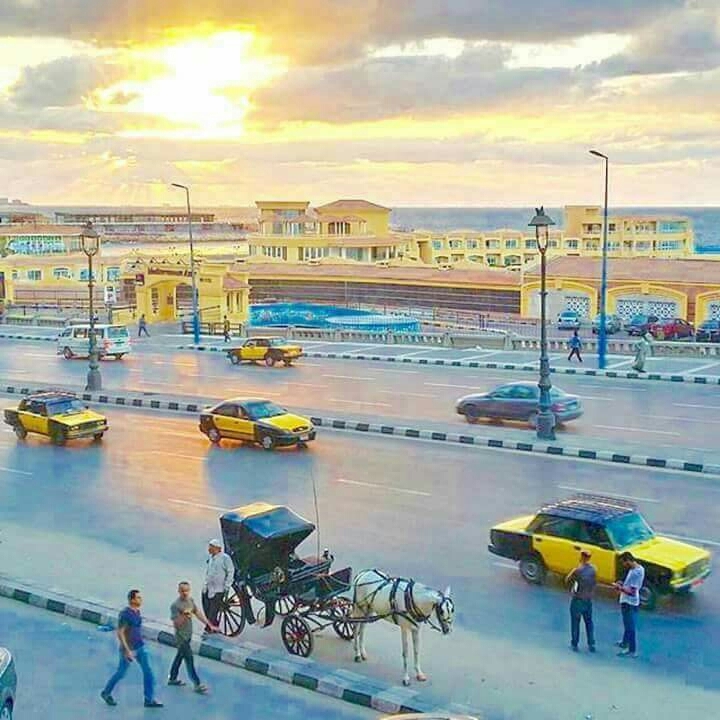 alexandria